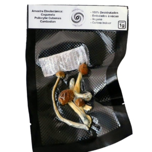 Cogumelo Mágico Psilocybe Cubensis 1g - Cambodian -  A VÁCUO