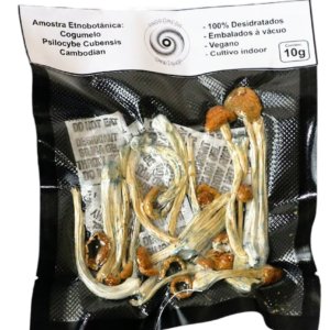 Cogumelo Mágico Psilocybe Cubensis 10g – Cambodian -  A VÁCUO