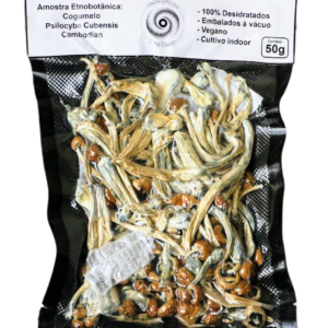 Cogumelo Mágico Psilocybe Cubensis 50g – Cambodian -  A VÁCUO