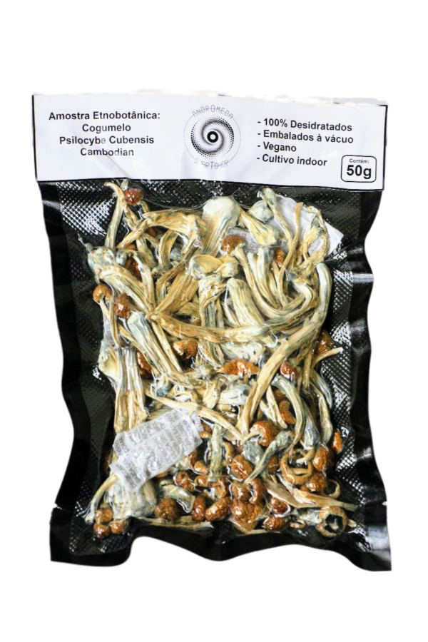 Cogumelo Mágico Psilocybe Cubensis 50g – Cambodian -  A VÁCUO