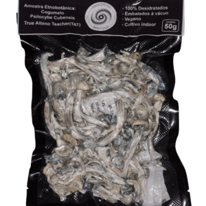 Cogumelo Mágico Psilocybe Cubensis 50g – True Albino Teacher-  A VÁCUO