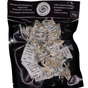 Cogumelo Mágico Psilocybe Cubensis 10g – True Albino Teacher -  A VÁCUO